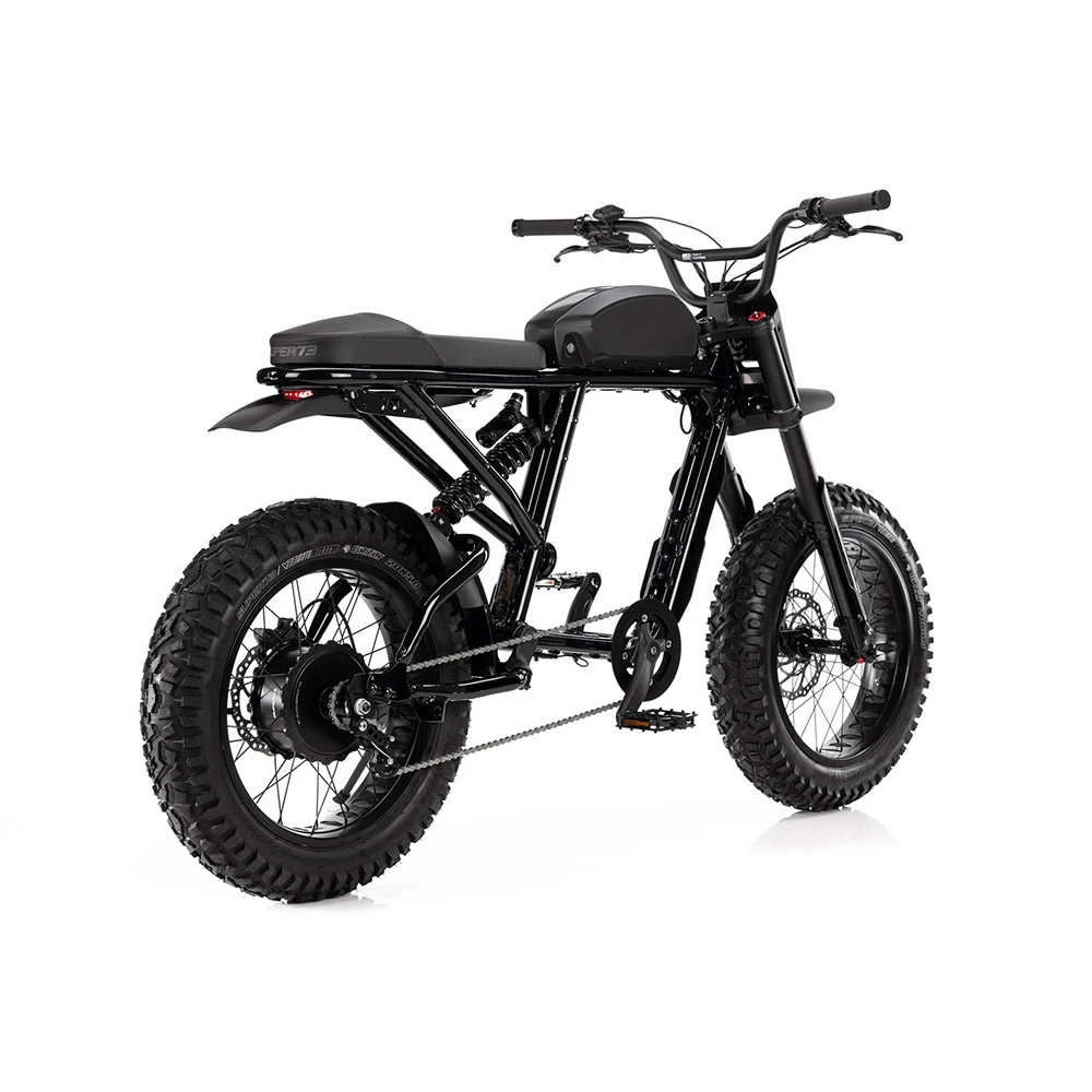 2022  20 inch Off Road Electric Dirt Bike with  48V 17.5Ah 750W hub motor fat tire electric bike for adults