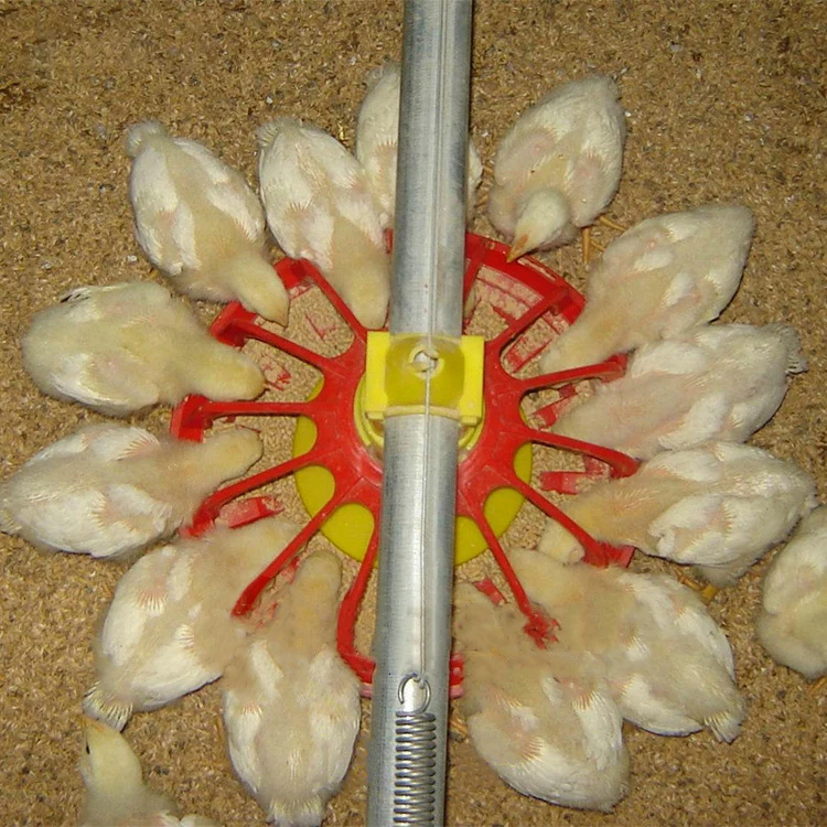 Advanced Design Complete Automatic Broiler farm Chicken Poultry Farming Equipment