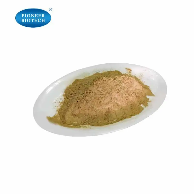 New Zealand Green Lipped Mussel Powder