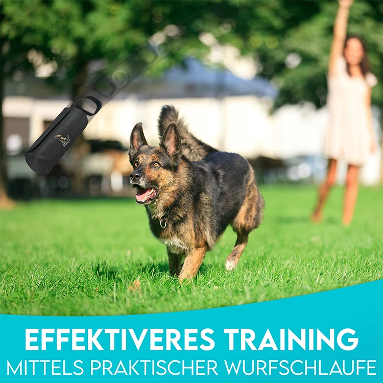 QQgift custom durable Dog Treat Pouch Dog Treat Bag with Waist Clip Carabiner Side Pocket high quality  dog training treat bags