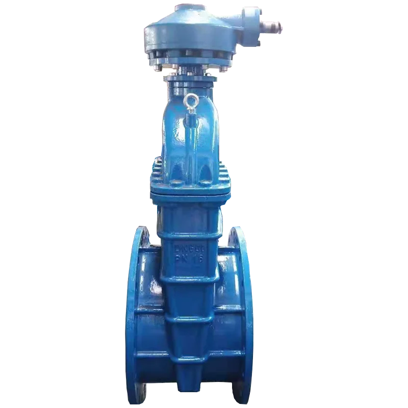 BS5163 DN125 Handle Operation Ductile Cast Iron Gate Valve