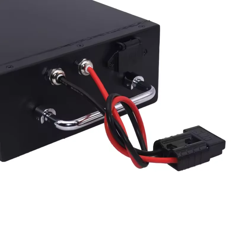 24V 36V lifepo4 48v 20ah electric bicycle lithium battery scooter power lithium battery citycoco battery for e-bike
