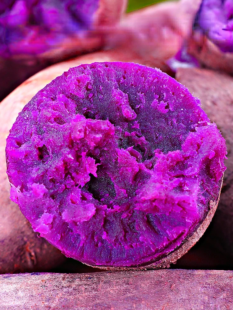 На фермах, установлено высокое качество для экспорта Китай свежий сладкий картофель естественно сладкий