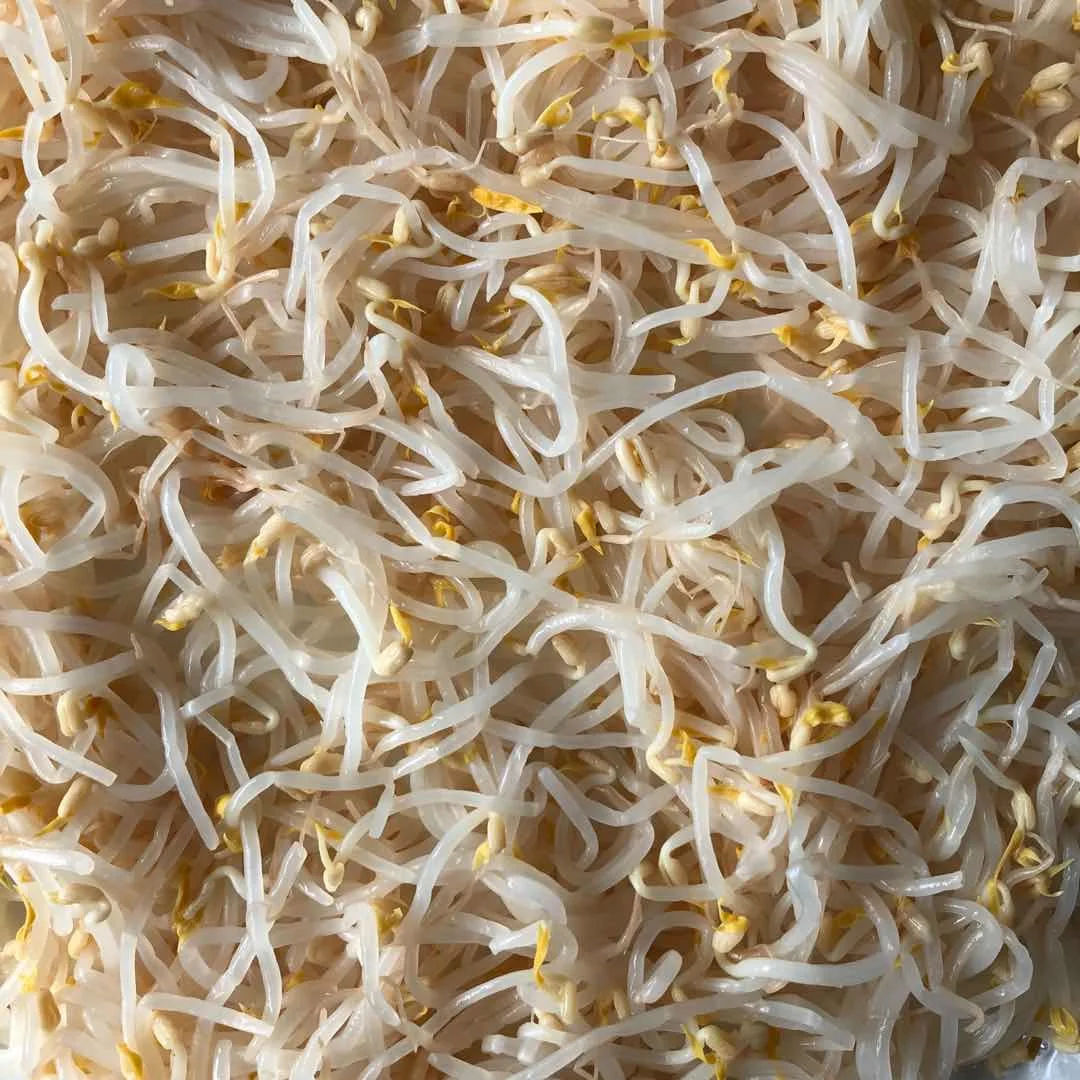 Китайские консервированные овощи хорошего качества, 370 мл, мунг-бобов в рассоле в банке, OEM