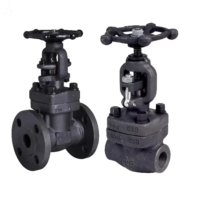 China Factory DN20 Manual Stainless Steel Flange Gate Valve WCB High Quality Forged Steel Gate Valve