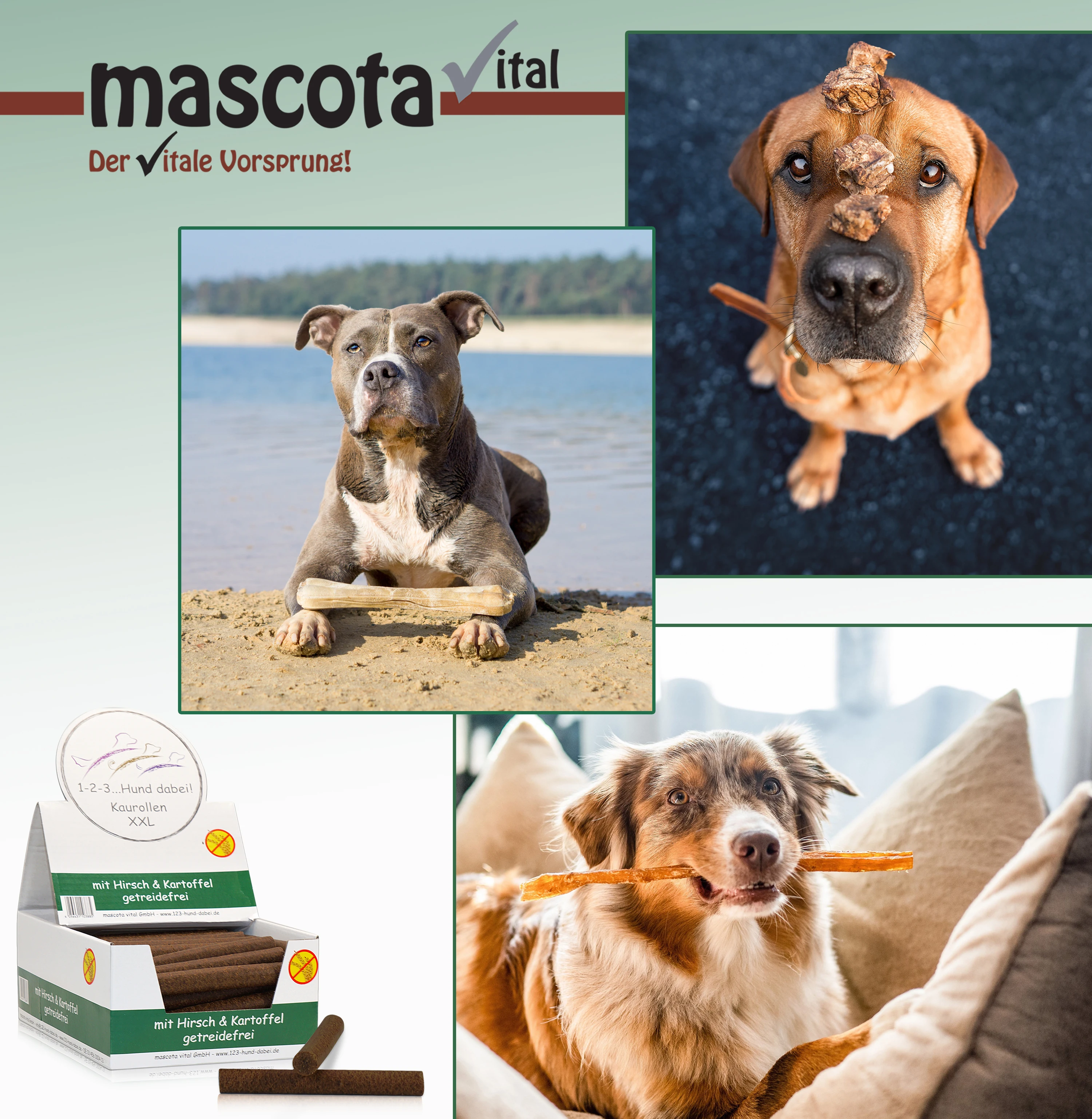 Excellent Quality Chewing Stick XXL Deer Vegetable By-Products At Least 24% Potato With 2 Years Shelf Life