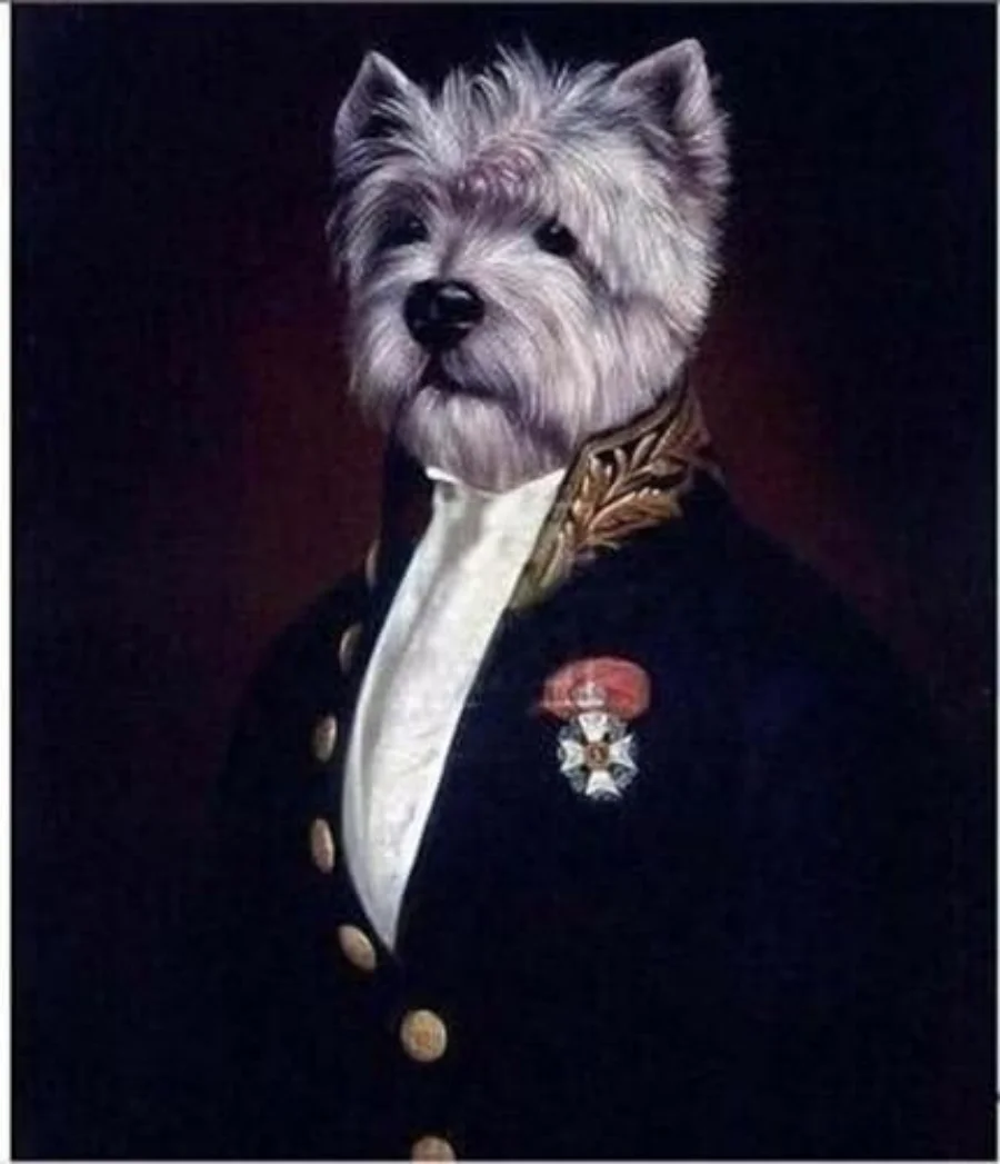 100% Real Hand Painted The Dog General Wearing Clothes On Canvas Oil Painting for Home Wall Art Decoration