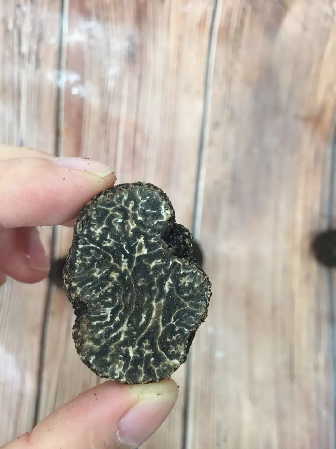 Новый сезон, дикий свежий китайский зимний черный трюфель