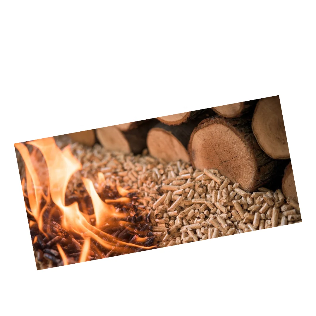Hot Sales Eco-friendly Pine Wood Clumping Pellets In Bag Made in Vietnam Manufacturer