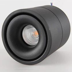 12W COB interior lights for home Surface Mounted LED Ceiling Lamp Spot decoration wall light outdoor Party Living room light