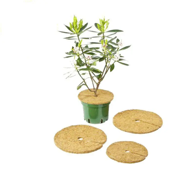 Indoor and Outdoor Plant Flat Pad Natural coconut palm pad ring cover with hole