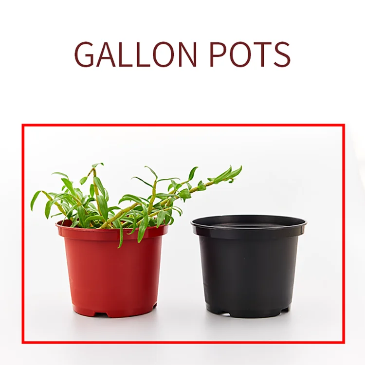 2021 Wholesale all sizes garden nursery plastic flower 20/25 gallon pots for plants