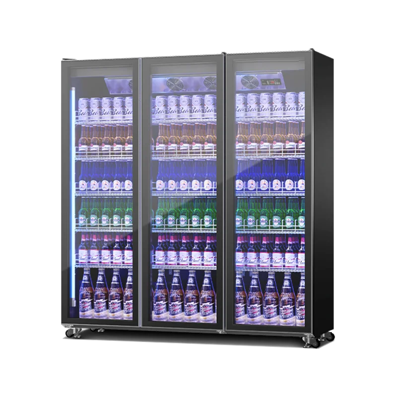 8- Beverage Cooler Fridge Double-Temperature Iron Material Cold Beverages Supermarkets Malls Restaurants Superb Refrigeration