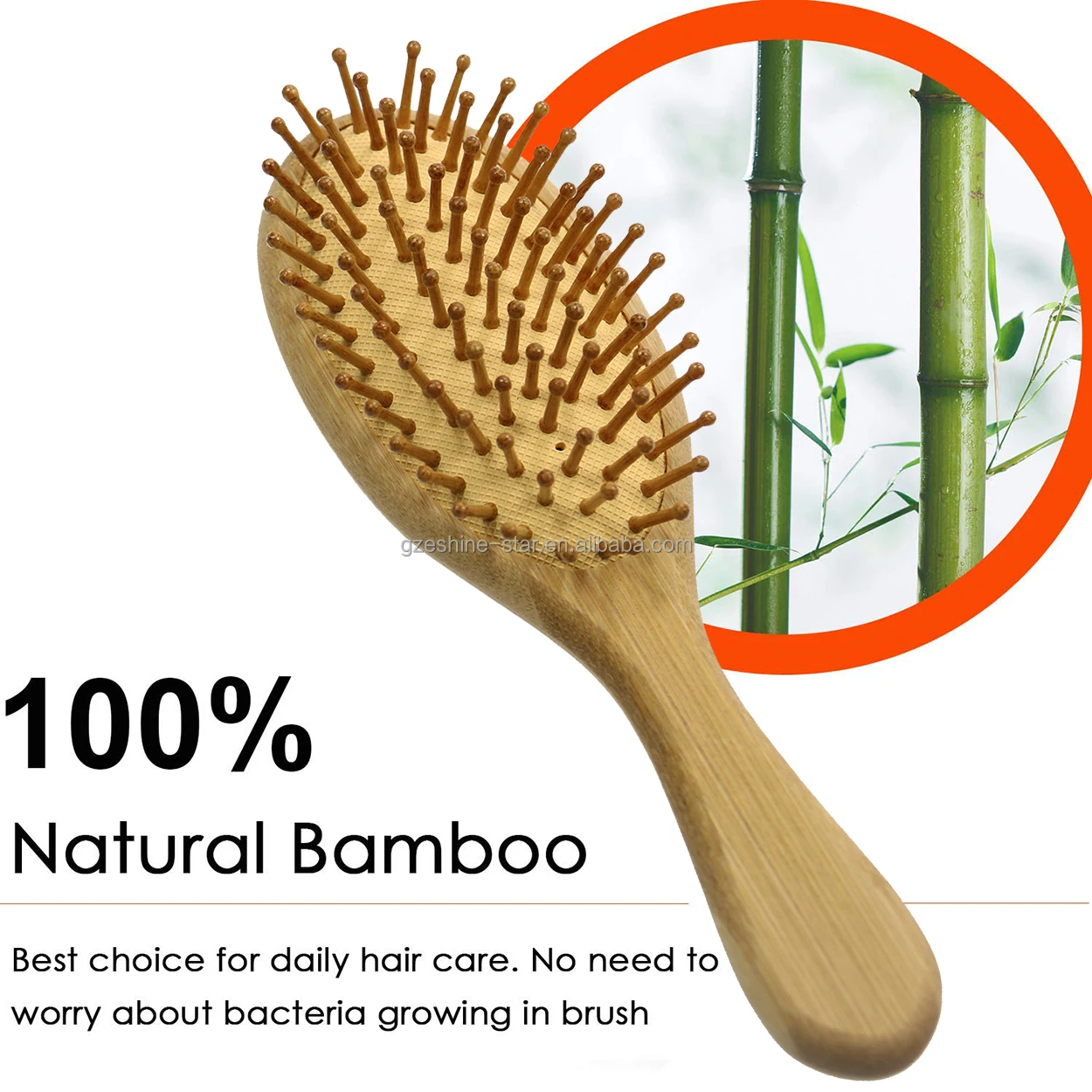 Eco-Friendly Natural Bamboo Bristles Wood Paddle Detangling Hairbrush for Massaging Scalp