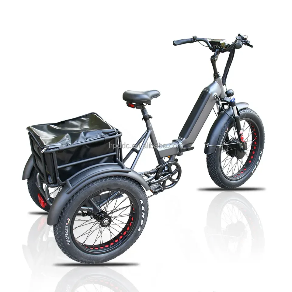 Powerful new model e cargo bike China pedal assistance operation big loaded electric bike for delivery