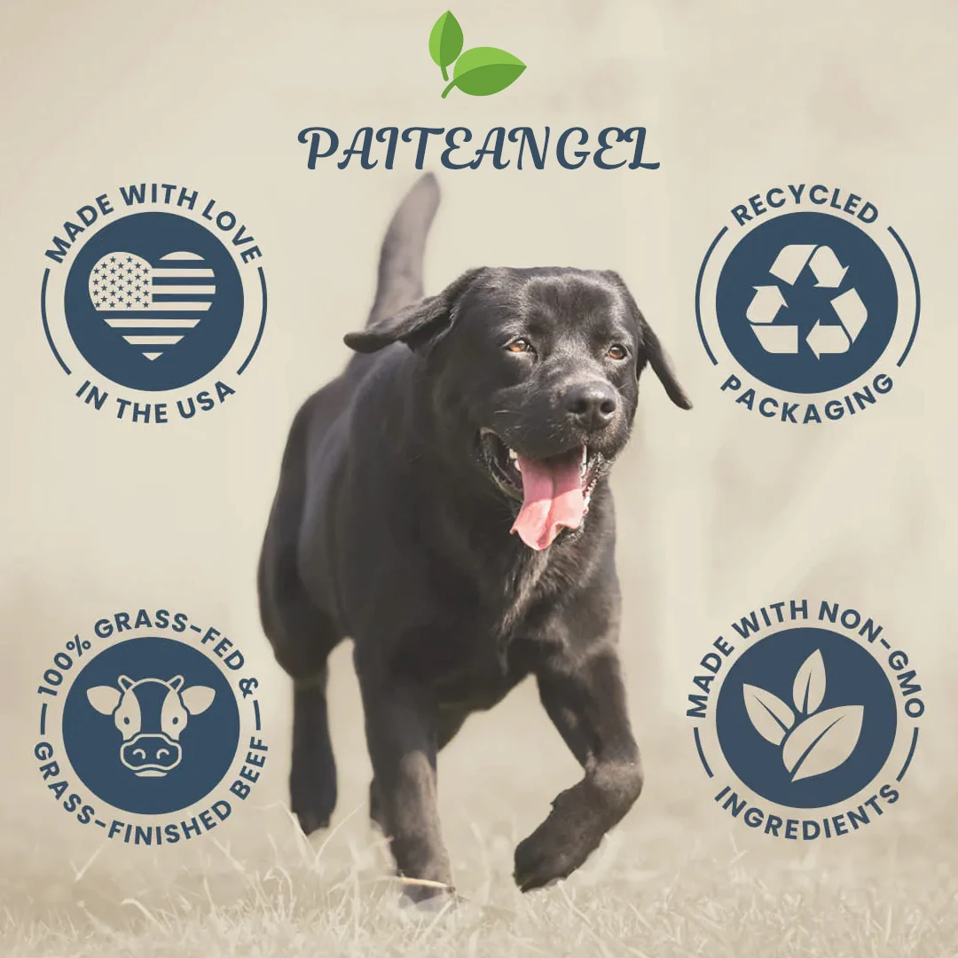 Vet Formulated Rich in Beta-Glucans Turkey Tail Mushroom Extract  Dogs Critical Immune Support Prebiotic Powder