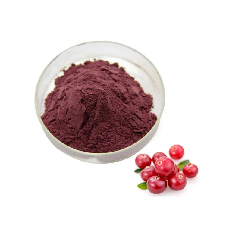 Wholesale Bulk CAS 84082-34-8 Natural Organic Freeze-Dried Cranberry Powder Extract Proanthocyanidins Cranberry Powder Food Grad