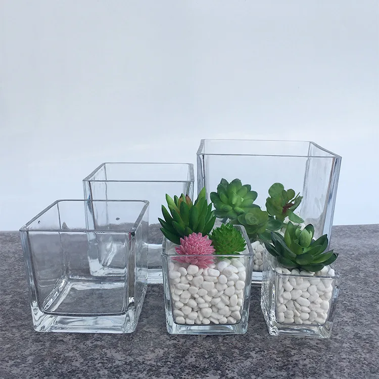 Home Decoration 4x4 Inches And 4.75x4.75 Inches Mini Style Clear Square Glass Flower Vase