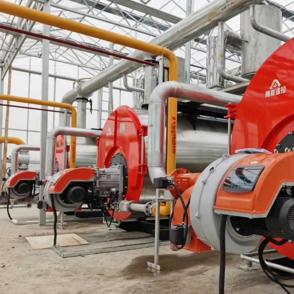 Best Agriculture Hot Water Gas Oil Fired 1 MW Boiler For Greenhouse