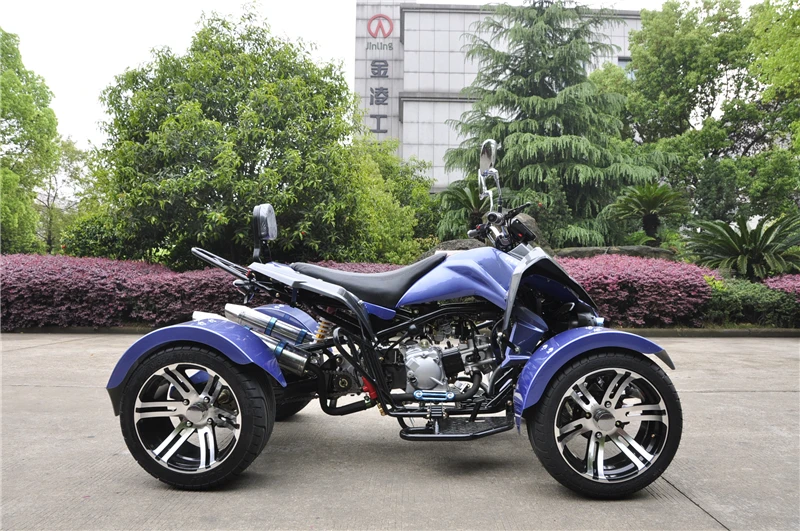 300cc CVT Water Cooled Engine  For 2 Passengers