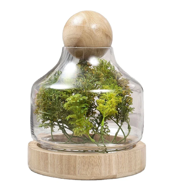 Garden wholesale vase clear glass terrarium plants with wooden base and wooden ball top
