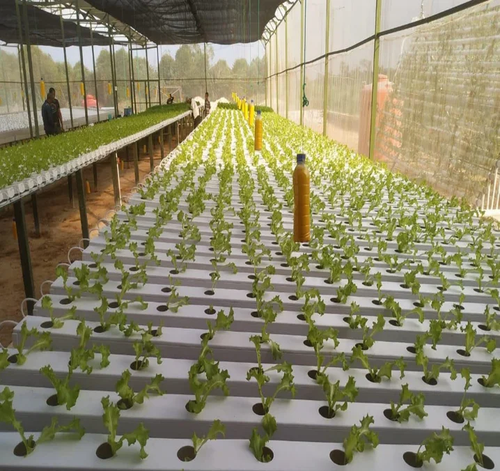 High quality and low price guarantee hydroponic PVC NFT channel for greenhouse hydroponic system from China