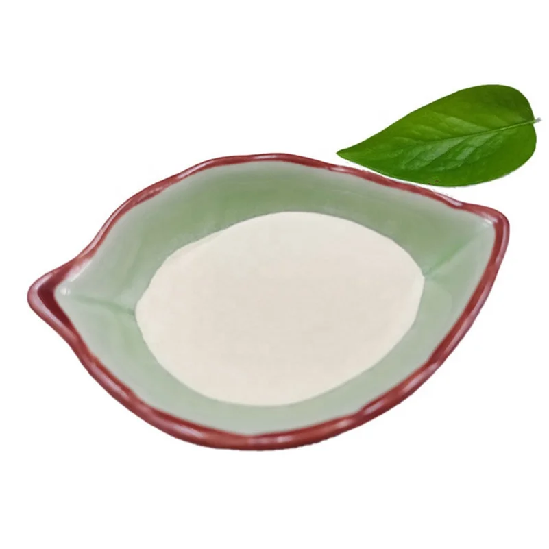  2020 Instant Magic Fat Burner Weight Loss Probiotics Lactobacillus Probiotic 100Billion cfu16 Strains For