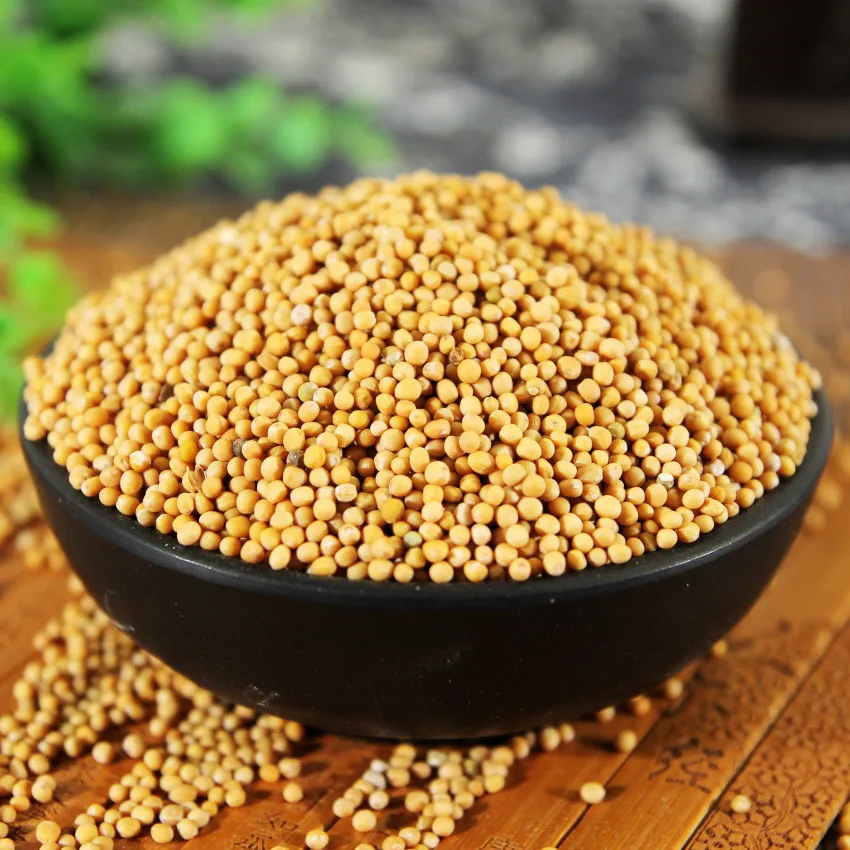 BaiXiangHui  2024 wholesale high quality product yellow mustard no additive and green health product yellow mustard