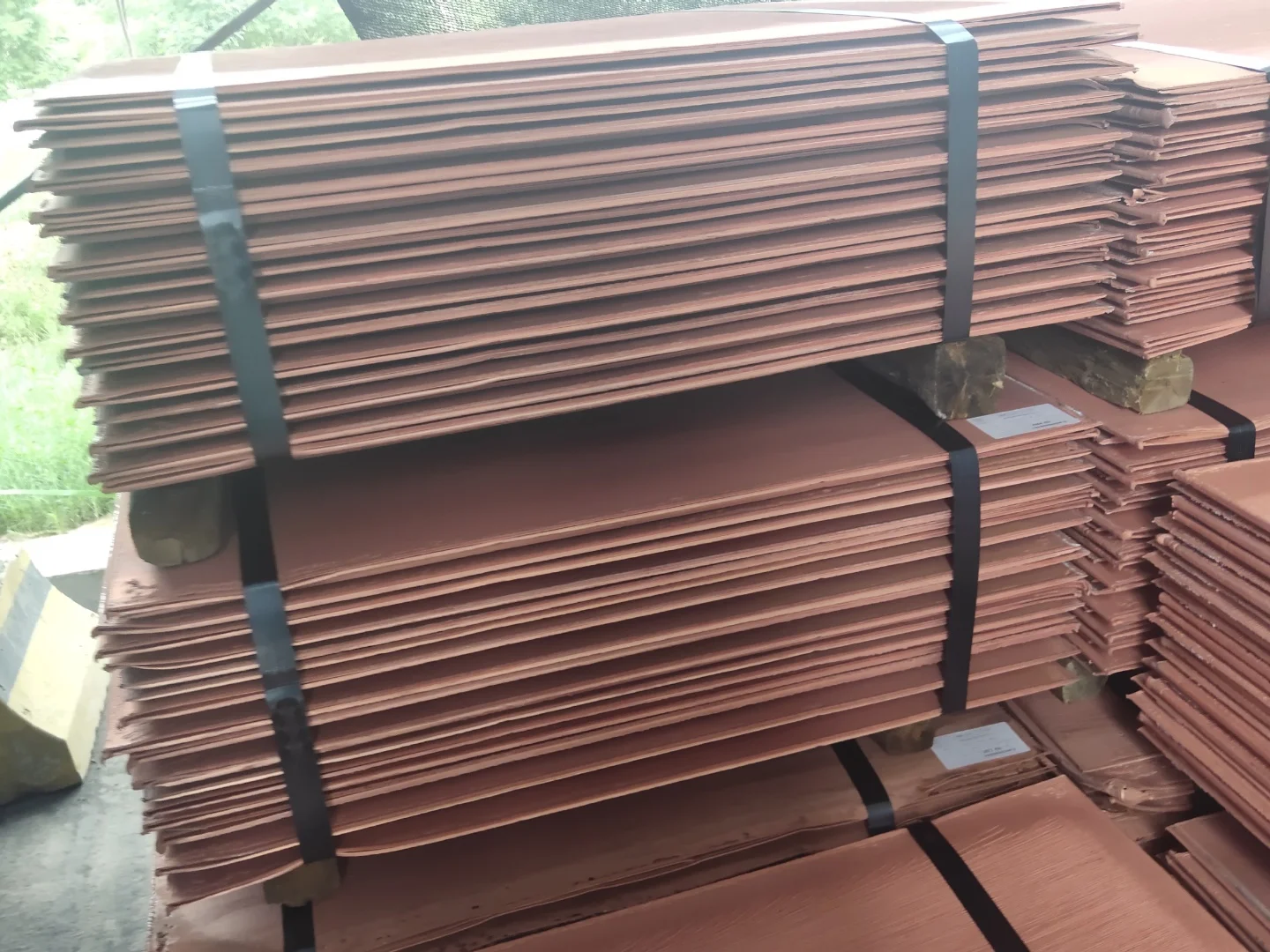 Copper Cathode High Quality Electrolytic 99.99/ Factory Price / scrap for sale