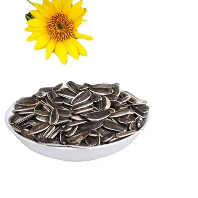 Wholesale High Quality Raw Agricultural Sunflower Raw Seeds Cheap Organic Sunflower Seeds
