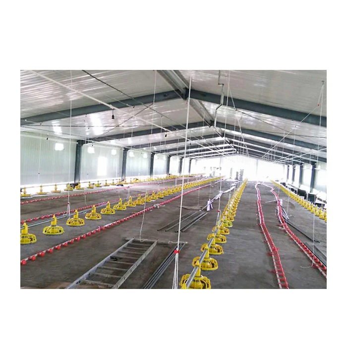 Дешевая сборная бройлерная птицеферма строительный