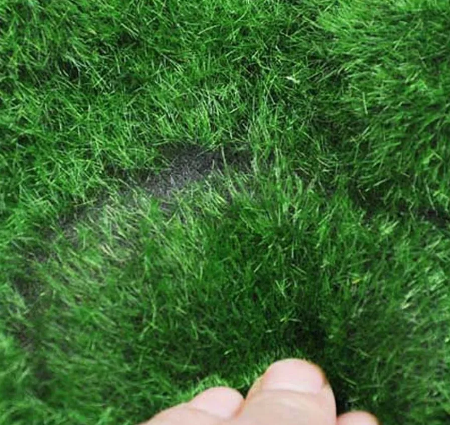 Floor laying mall window background wall decoration simulation moss