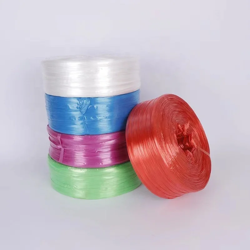 Biodegradable Polyester Nylon Colorful Plastic Rope Plastic Baler Twine for Packing