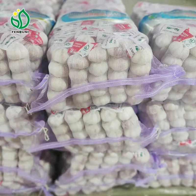 Order New Arrival Fresh White Garlic from China Fenduni Garlic Supplier 1KG/500G/250G Export Tuinis/Kenya/Uganda