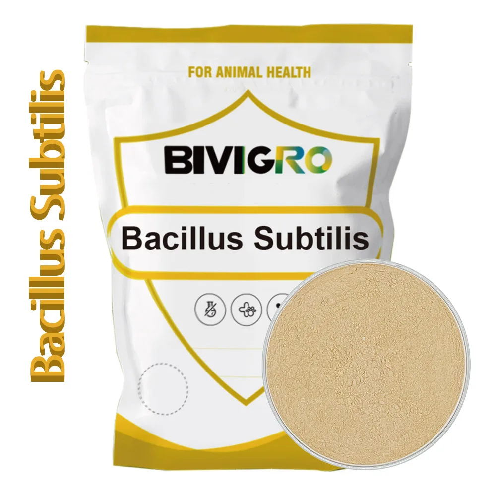 Super Quality Probiotics Feed Powder Bacillus Subtilis / Bacillus Licheniformis for Animal Feed
