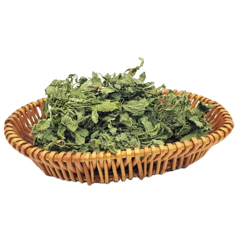 Li zhi cao natural raw Plebeian Sage dried wild Saluia plebeia plants for herb