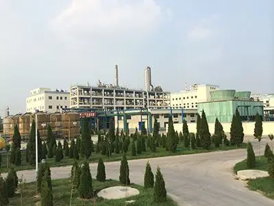 Food Additive Starch, Hydrogen Phosphate Acetate CAS NO 68130-14-3 Acetylated Distarc Emulsifier/Thickeners/Stabilizers for Food