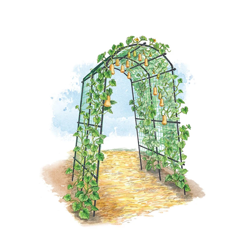 Large Climbing Cane Frame High Quality Garden Metal Flower Trellis For Garden Support