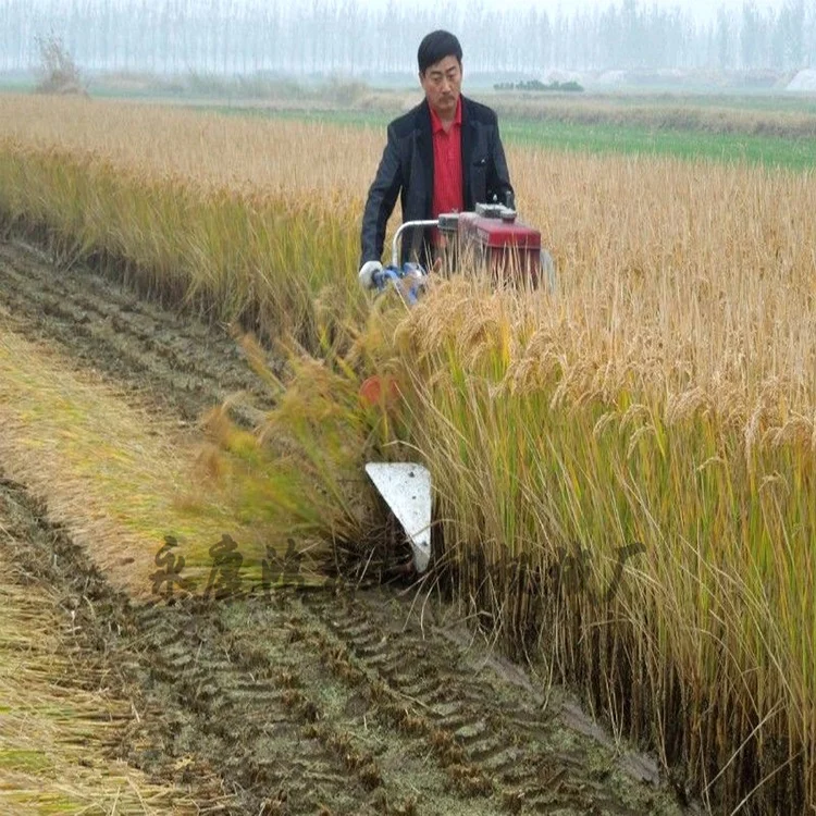 Farm use Mini Rice Wheat Crop Grain combine reaper harvester Machine