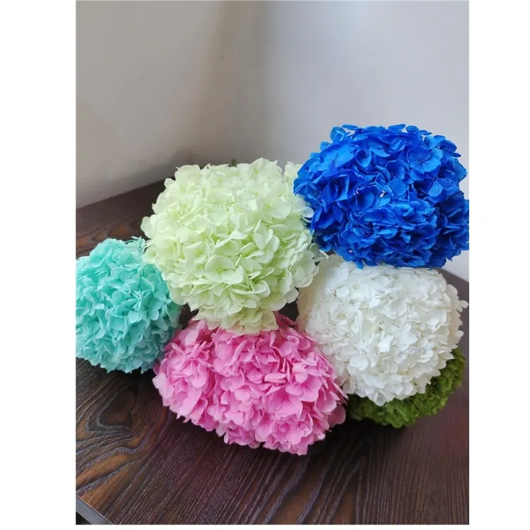 Home decoration of preserved Hydrangea with stem Big leaf Natural flowers Long term preservation