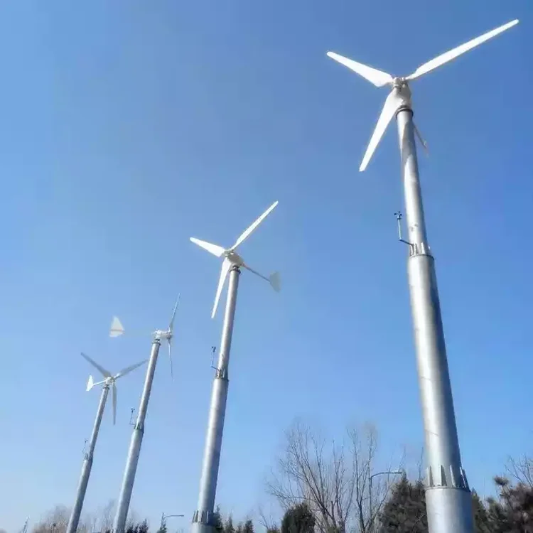 1KW 2KW 3KW Home Use Horizontal Wind Turbine Generator 3 Phase 220v 240v 360v with MPPT Controller for Wind Power Application