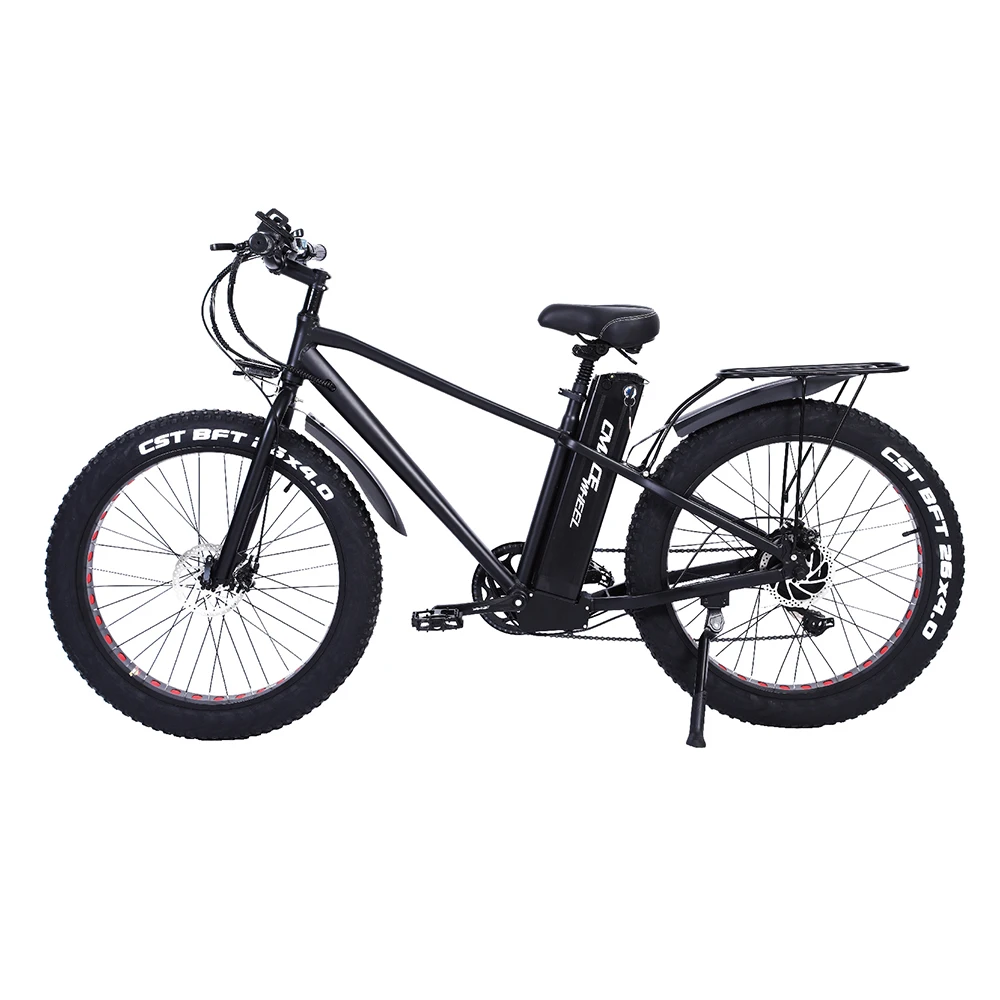 Wide Tube Two Tires Free Shipping Light Weight Manufacturer powerful Strong Off Road Electric Bicycle