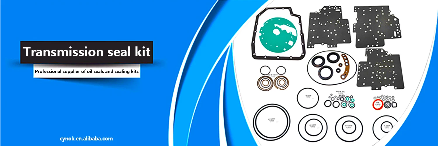 K109900F 01P Greabox Auto Transmission Overhaul Seals Kit Parts