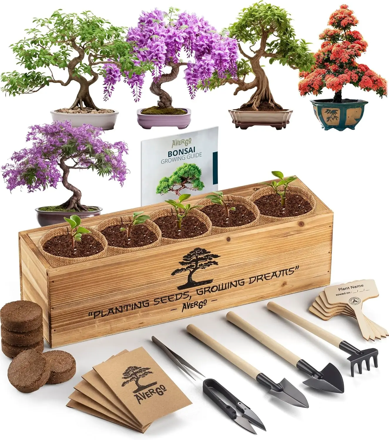 Complete Indoor Starter Bonsai Tree Kit with 5 Unique Bonsai Seeds Flower Pot Set for Home Garden Nursery