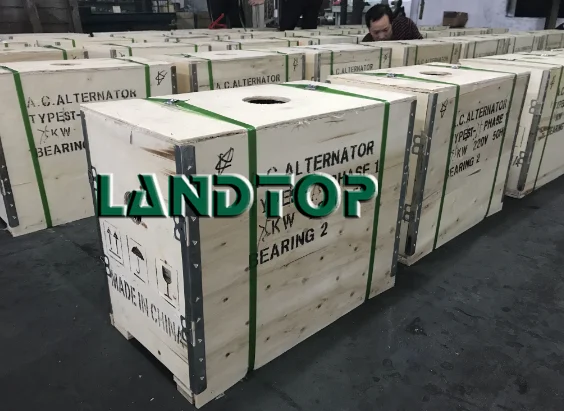 Синхронный бесщеточный генератор переменного тока LANDTOP 50 Гц 60 на