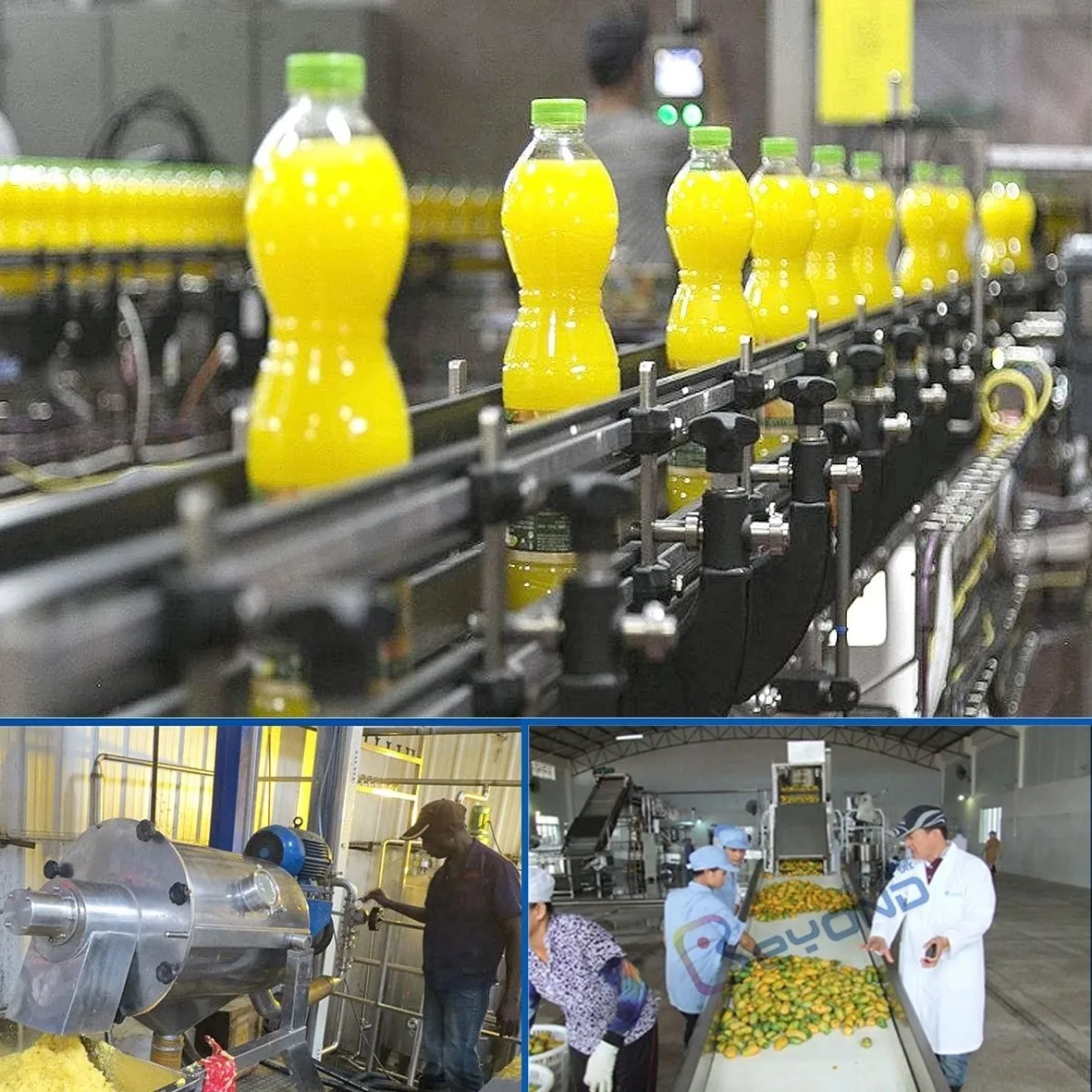 Mango pulp processing machinery Mango Jam making machine Mango Puree Production Line