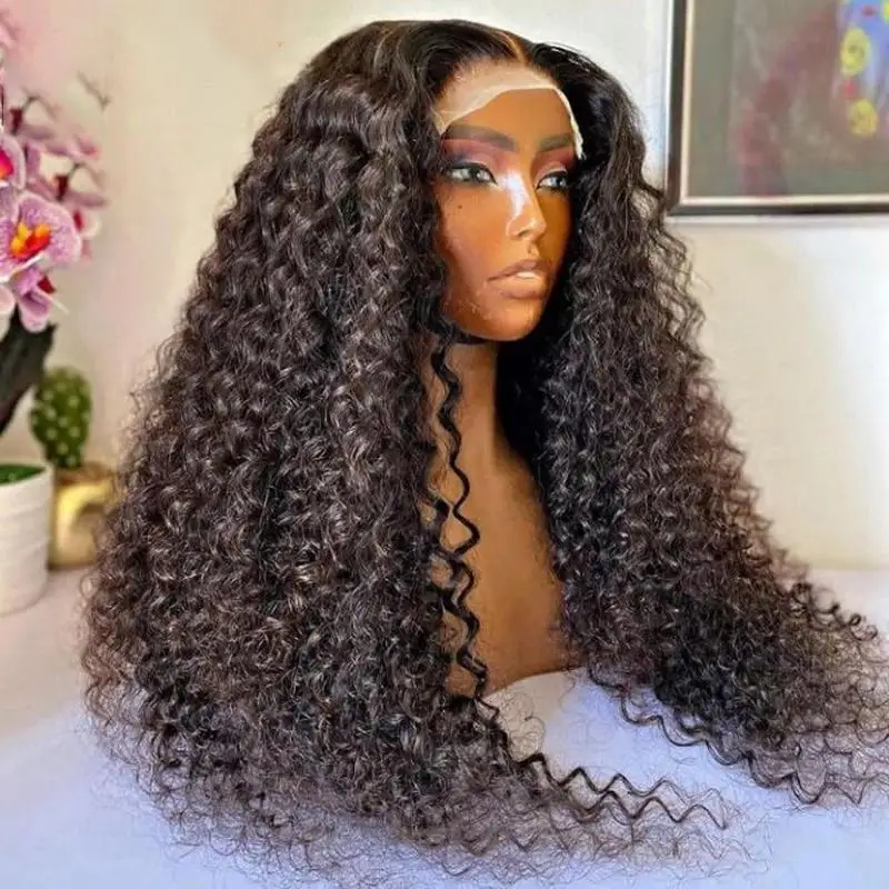 Frontal Glueless Full Hd Lace Wig,Cuticle Aligned Virgin Raw Indian Hair Wig,Unprocessed 100% Full Lace Human Hair Wig