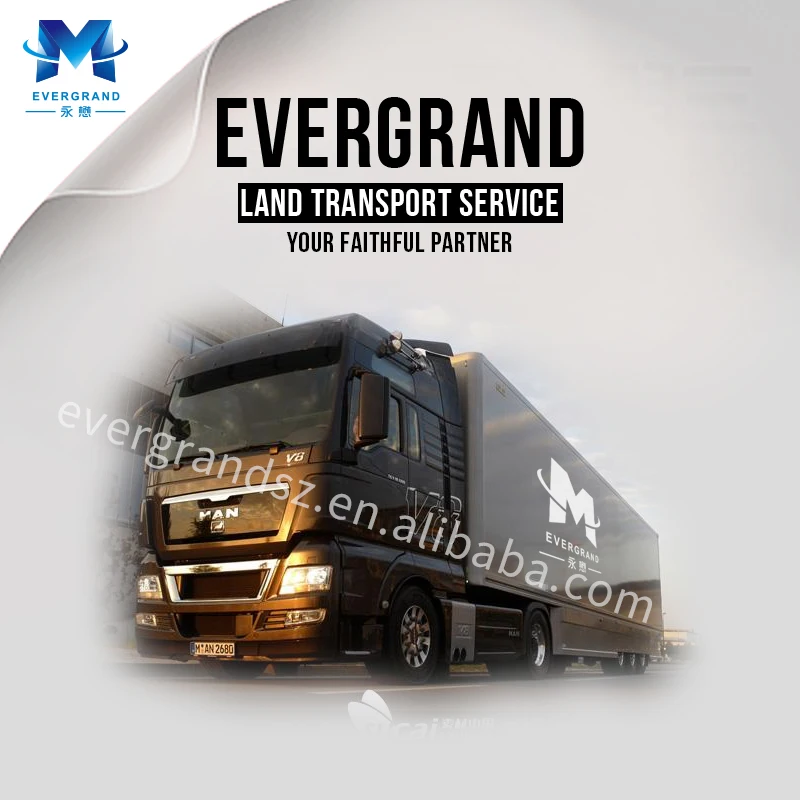 Top 10 professional freight forwarder sea shipping LCL containers service from China to Port Louis Mauritius