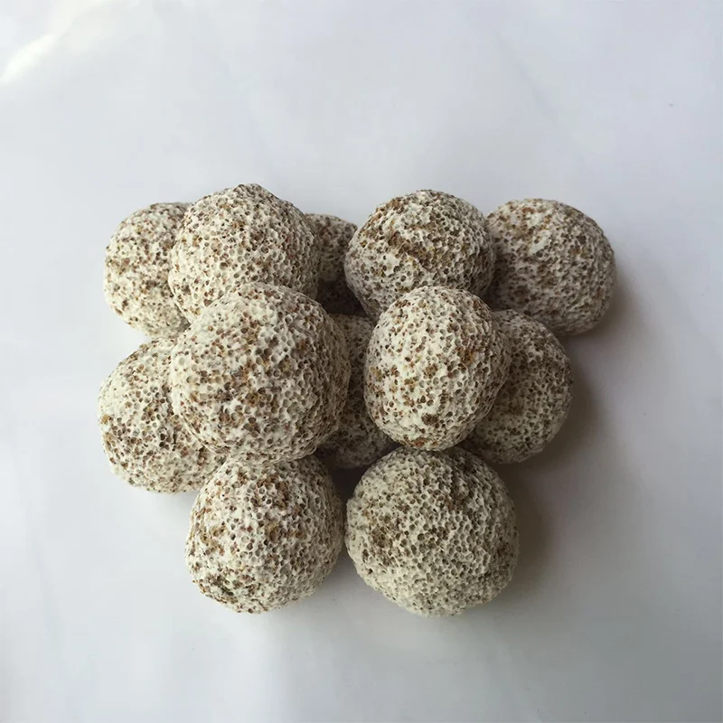 Bacteria house ceramic bio filter media