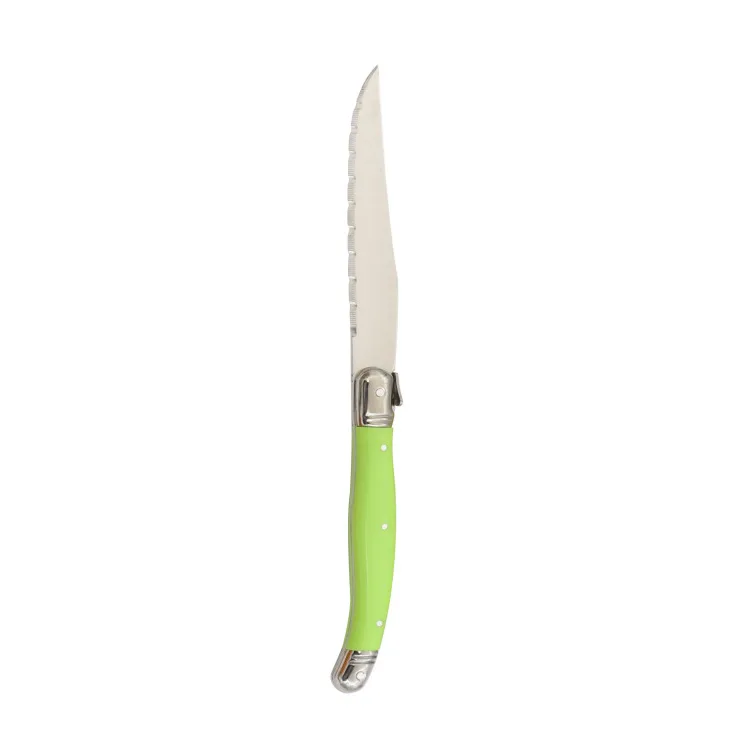 Fashion different color handle laguiole steak knife
